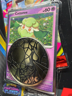 Phantasmal Flames Checklane Blister Cottonee Promo Pokemon TCG English Sealed - Image 4