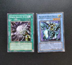 Yu-Gi-Oh - Paladin Of White Dragon / White Dragon Ritual - Common Set / HP - Image 1