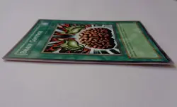 Brain Control SDDE-EN027 (Common, 1st Edition, Excellent / VLP) Yugioh - Image 2