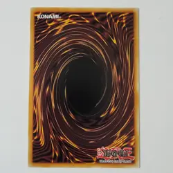 Skill Drain - SR13-EN003 - NM - Common - 1st ed - Yugioh - Image 2