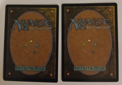 2x Winternight Stories NM MTG Tarkir Dragonstorm Magic the Gathering - Image 2