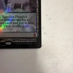 Flooded Strand Zendikar Expeditions Foil - Image 2