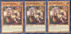 Traptrix Mantis SDBT-EN045 Structure Deck: Beware of Traptrix 1st Ed (x3) Yugioh - Image 1