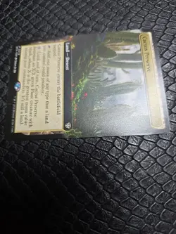 1x Cactus Preserve, Extended Art, Magic the Gathering MTG NM - Image 2