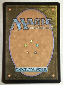 MTG / Adarkar Wastes / DMU / #377 / FOIL (Borderless) / Rare / NM - Image 2