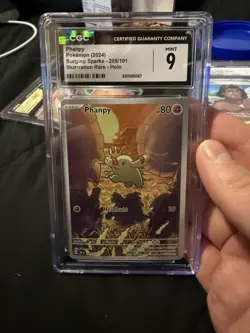 2024 Pokemon SV Surging Sparks Phanpy Illustration Rare #205 CGC 9 - Image 3