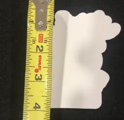 2020 Pokemon Charizard V Max Darkness Ablaze Promo Dealer Sticker Decal - Image 4