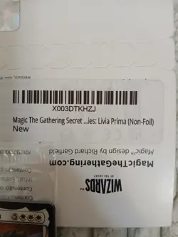 Sealed Secret Lair Drop: Artist Series: Livia Prima MAGIC THE GATHERING | MTG - Image 3