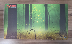 Magic the Gathering Unhinged Forest Playmat John Avon Signed - Image 1