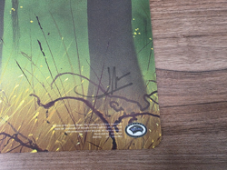 Magic the Gathering Unhinged Forest Playmat John Avon Signed - Image 2