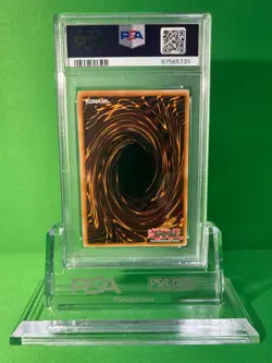 2008 YU-GI-OH! PTDN-EN008 YUBEL-THE ULTIMATE NIGHTMARE SECRET 1ST EDITION PSA 8 - Image 2