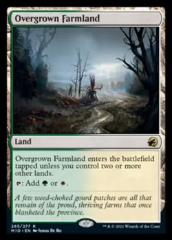 Overgrown Farmland - Innistrad: Midnight Hunt (MID) - Image 1