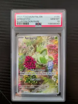 Pokemon TCG Sprigatito Paldea Evolved Illustration Rare Card 196/193 PSA 10 - Image 1