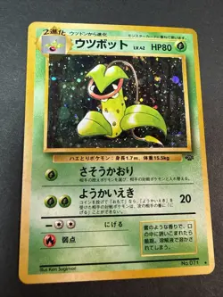 [NM] Victreebel Pokemon Card Japanese No.071 Jungle Set Vintage Holo - Image 1
