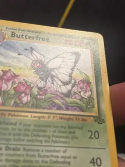 Butterfree 33/64 - Pokemon Jungle Unlimited - NM - Image 3