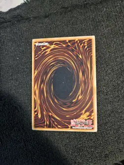 Yugioh TCG - 1x Gemini Soldier - SDWS-EN004 - LP - 1st Edition - Common - 2009 - Image 2