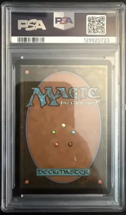 2024 MAGIC: THE GATHERING RAVNICA REMASTERED #401 GODLESS SHRINE 138/500 PSA 10 - Image 2