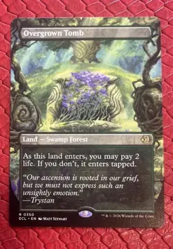 Overgrown Tomb (Borderless) Lorwyn Eclipsed Regular - Image 1