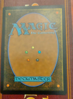 Warren Soultrader (Borderless) Modern Horizons 3 Regular - Image 2