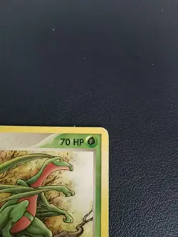 Pokemon Card Grovyle 31/109 EX Ruby & Sapphire Uncommon - Image 3