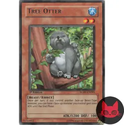 Yugioh Tree Otter RGBT-EN095 Rare 1st Edition LP - Image 1