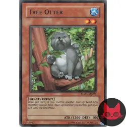 Yugioh Tree Otter RGBT-EN095 Rare LP - Image 1
