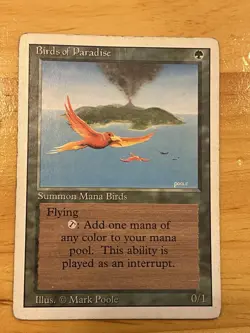 Birds of Paradise Revised Edition Regular - Image 1
