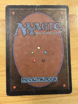 Birds of Paradise Revised Edition Regular - Image 2