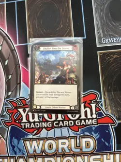 Shelter from the Storm - The Hunted Flesh and blood - Image 1