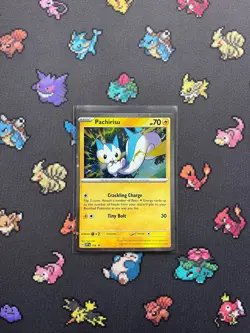 Pokemon - Pachirisu SVP158 Scarlet & Violet Black Star Promo Cosmos Holo NM - Image 1