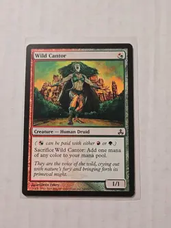 Wild Cantor - Guildpact - MP - Common - Creature - MTG - Image 1