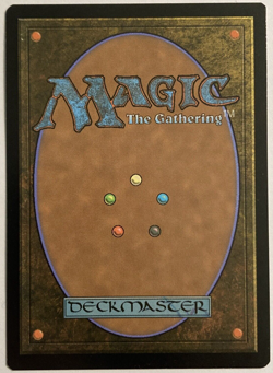 MTG Tyvar the Bellicose FOIL ETCHED March of the Machine: The Aftermath 0148 NM - Image 2