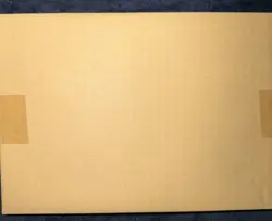 Dragon Ball Super Card Game Fusion World Raging Roar Store Tournament Kit 03 - Image 2