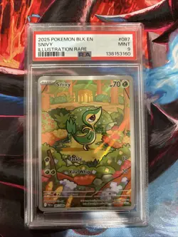 Snivy 087/086 Pokemon Black Bolt Illustration Rare PSA 9 - Image 1