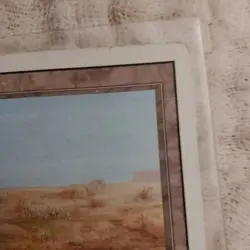 MTG Revised Edition Scrubland! 1994 Vintage Magic! - Image 4