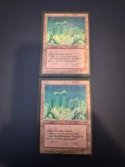 MTG - Magic The Gathering - Svyelunite Temple X 2 - Fallen Empires - LP/EX! - Image 1