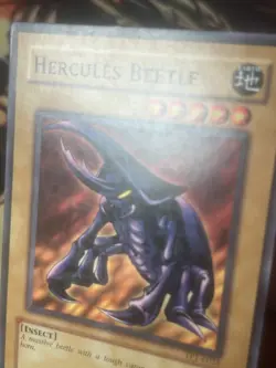 Yugioh: Hercules Beetle - TP1-E025 - Common - MP - Image 3
