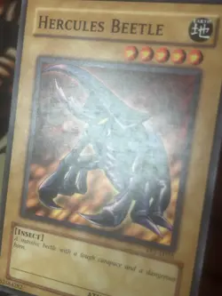 Yugioh: Hercules Beetle - TP1-E025 - Common - MP - Image 4