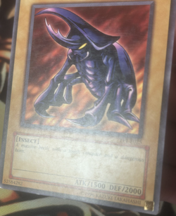Yugioh: Hercules Beetle - TP1-E025 - Common - MP - Image 5