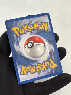 Pokemon Pikachu World Collection 2000 Original Folder with 9 Card Promo Set - Image 4