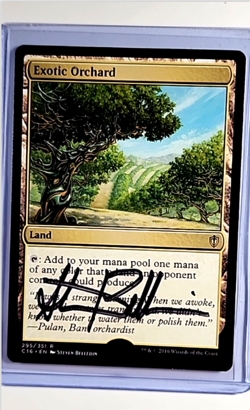 MTG Magic the Gathering AP Artist Proof C16 Auto Autograph #295 Exotic Orchard - Image 1