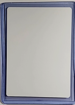 MTG Magic the Gathering AP Artist Proof C16 Auto Autograph #295 Exotic Orchard - Image 2