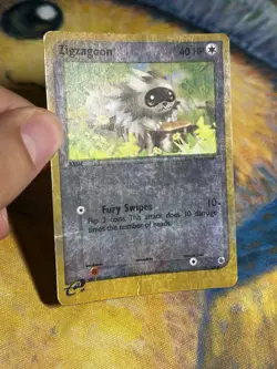 Zigzagoon 79/109 Ex Ruby and Sapphire Reverse Holo Pokemon TCG Card MP - Image 3