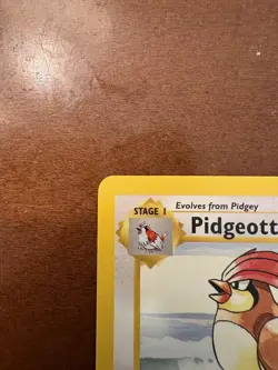 Pidgeotto Base Set 1999 Shadowless Card 22/102 NM Condition - Image 3