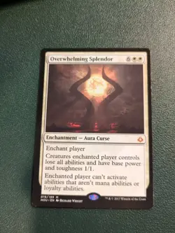 Overwhelming Splendor (HOU) 19 MP MTG - Image 1