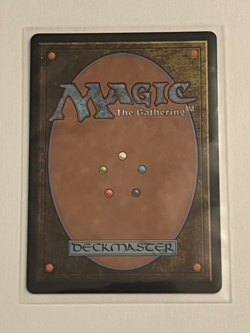 MTG Formidable Speaker - Extended Art - Lorwyn Eclipsed #366 - Image 2