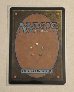 MTG Soul Immolation - Lorwyn Eclipsed #156 - Image 2