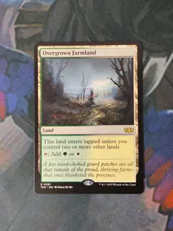 Overgrown Farmland | 7% Off 2+ | Tarkir: Dragonstorm | NM | MTG - Image 1