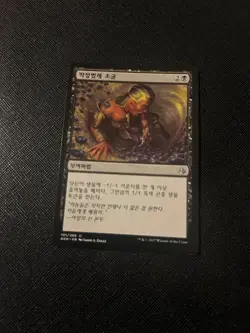 Nest of Scarabs MTG Amonkhet Korean LP - Image 1