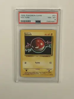 PSA 8 Pokemon 1999-2000 Base Set Voltorb #67 NM-MT+ - Image 1
